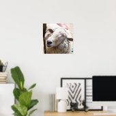 Schapen De Christelijke kunstfoto van de Schapenhe Poster (Thuiskantoor)