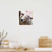 Schapen De Christelijke kunstfoto van de Schapenhe Poster (Keuken)