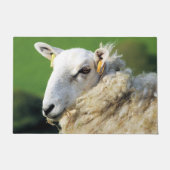 SCHAPEN DEURMAT (Voorkant)