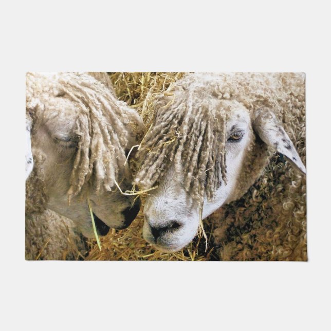 SCHAPEN DEURMAT (Voorkant)