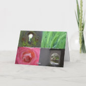 Schapen die een Labyrint weiden - Kalmte Kaart (Achterkant)