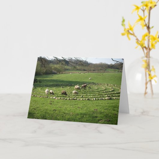 Schapen die een Labyrint weiden - Kalmte Kaart (Gele Bloem)