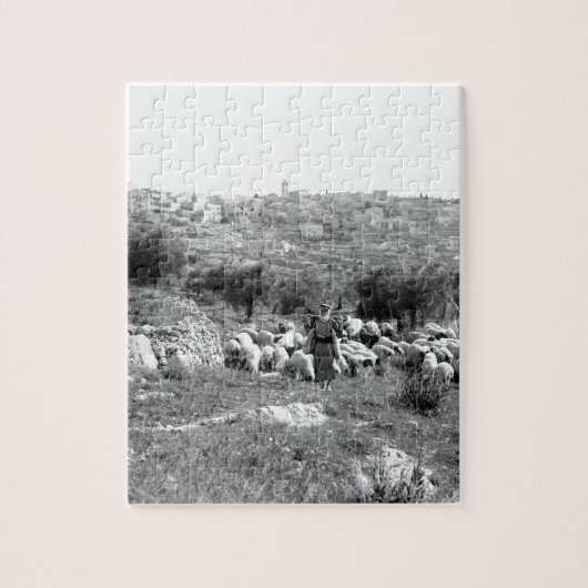Schapen die kuikens nabij Bethlehem trekken Legpuzzel (Verticaal)