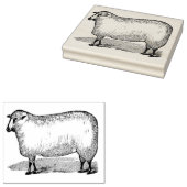 Schapen die links rubberen kunststempel zien rubberstempel (Gestempeld)