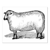 Schapen die links rubberen kunststempel zien rubberstempel (Afrduk)