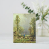 Schapen die naar een Storm kijken Briefkaart (Staand voorkant)