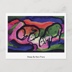 Schapen door Marc Franz Briefkaart