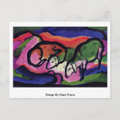 Schapen door Marc Franz Briefkaart (Voorkant)