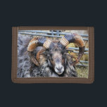 SCHAPEN DRIEVOUD PORTEMONNEE<br><div class="desc">Een fotografisch ontwerp van een prachtig ramschaap met prachtige hoorns.</div>