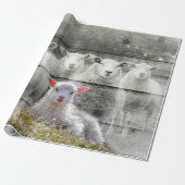 Schapen en Baby Lamb Cadeaupapier (Uitgerold)