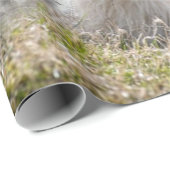 Schapen en Baby Lamb Cadeaupapier (Rol Hoek)