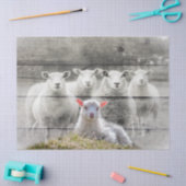 Schapen en Baby lammeren Tissuepapier (Craft)