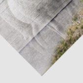 Schapen en Baby lammeren Tissuepapier (Detail)