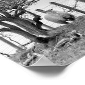 Schapen- en bomen zwarte en witte foto poster (Hoek)