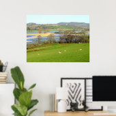 Schapen en de overstroomde rivier de Exe Poster (Thuiskantoor)