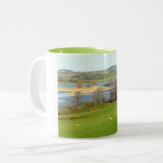 Schapen en de overstroomde rivier de Exe Tweekleurige Koffiemok (Voorkant links)