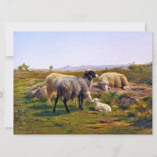 Schapen en een Lam in Natuur (door Rosa Bonheur) Kaart