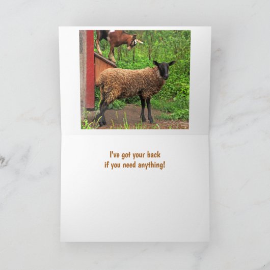 Schapen en geiten krijgen goede ondersteuning kaart (Binnen)