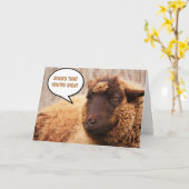 Schapen en geiten krijgen goede ondersteuning kaart (Gele Bloem)