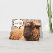 Schapen en geiten krijgen goede ondersteuning kaart (Voorkant)