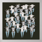 Schapen en geiten poster (Voorkant)