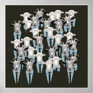 Schapen en geiten poster