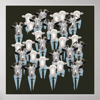 Schapen en geiten poster