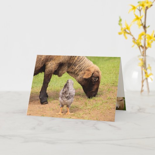 Schapen en kippen Geachte Vrienden van Birthday Kaart (Gele Bloem)