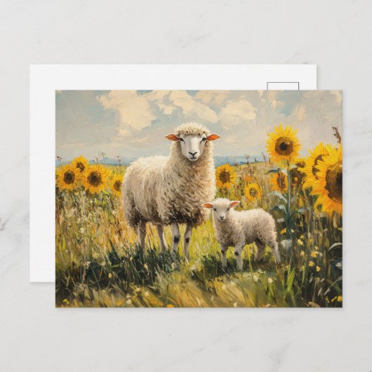 Schapen en Lam Zonnebloem Veld Briefkaart (Voorkant / Achterkant)