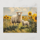 Schapen en Lam Zonnebloem Veld Briefkaart (Voorkant)