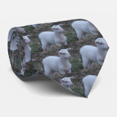 SCHAPEN- EN LAMBPHOTOGRAFIE STROPDAS (Opgerold)