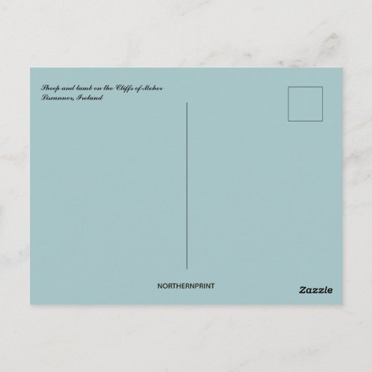 Schapen en lammeren op de kliffen van Moeder Ierla Briefkaart (Achterkant)