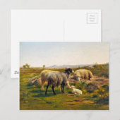 Schapen en lammeren van Rosa Bonheur Briefkaart (Voorkant / Achterkant)