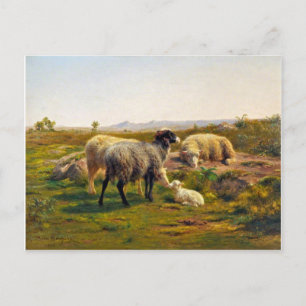 Schapen en lammeren van Rosa Bonheur Briefkaart