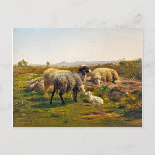 Schapen en lammeren van Rosa Bonheur Briefkaart (Voorkant)