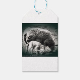 Schapen- en lamsmono-afbeelding cadeaulabel