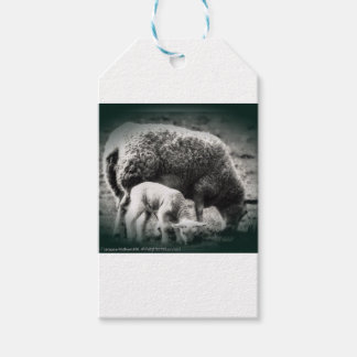 Schapen- en lamsmono-afbeelding cadeaulabel