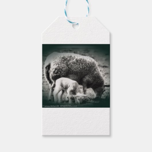 Schapen- en lamsmono-afbeelding cadeaulabel (Voorkant)