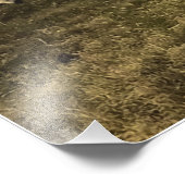 Schapen en leeuwen naast elkaar in harmonie foto afdruk (Hoek)