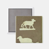 Schapen en schapen met lammeren magneet (Voorkant / Achterkant)