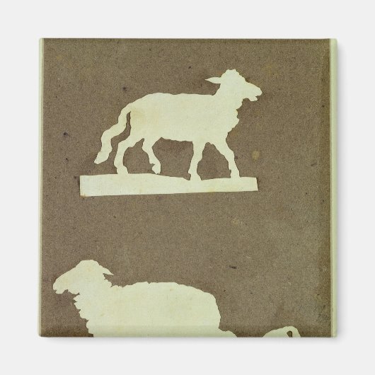 Schapen en schapen met lammeren magneet (Voorkant)