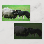 Schapen- en schapenhonden op het veld visitekaartje (Voorkant / Achterkant)