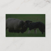 Schapen- en schapenhonden op het veld visitekaartje (Achterkant)