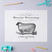  schapen en weefsels tissuepapier (Craft)