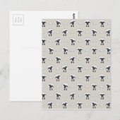 Schapen en wol briefkaart (Voorkant / Achterkant)