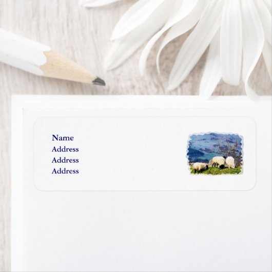 SCHAPEN ETIKET (Insitu)