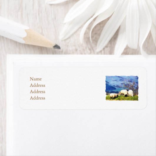 SCHAPEN ETIKET (Insitu)