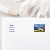 SCHAPEN ETIKET (Insitu)