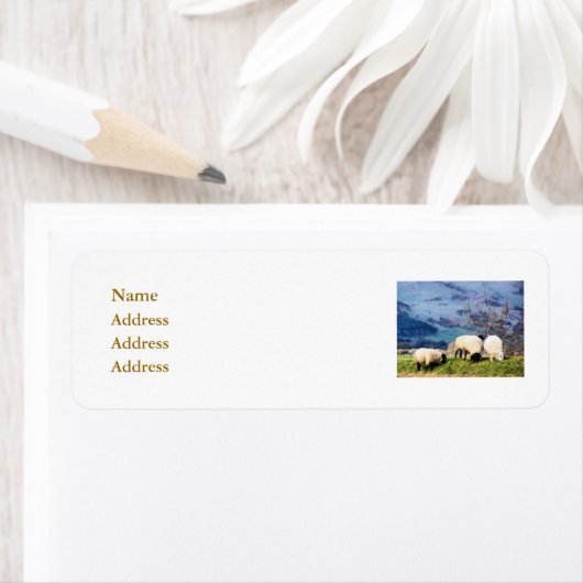 SCHAPEN ETIKET (Insitu)