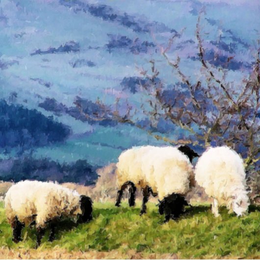 SCHAPEN ETIKET